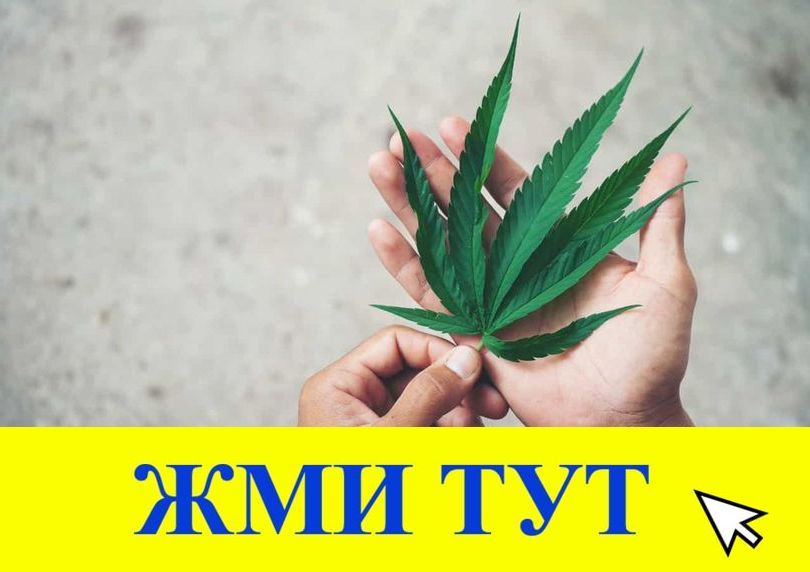 Купить наркотики в Таштаголе